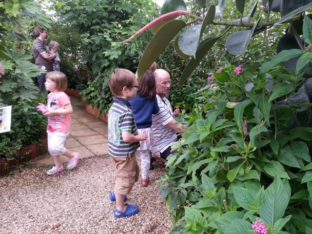  Un fantástico día en familia 